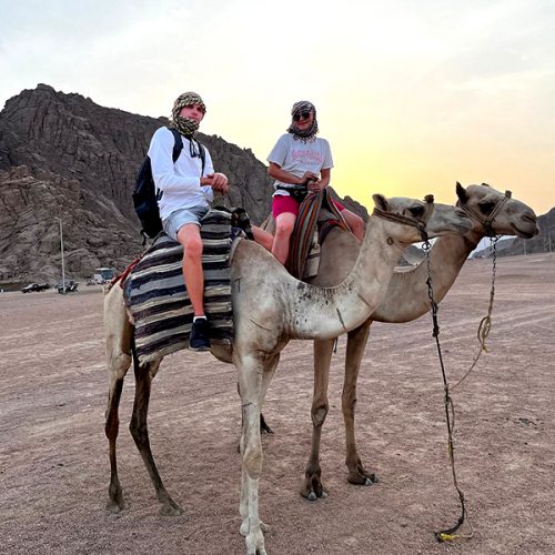 Camel Ride